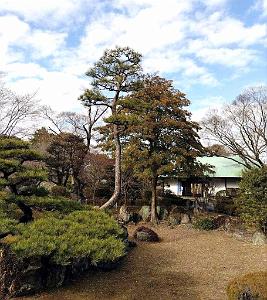 NAGOYA - Le Chateau- 09.01.2024 - 08